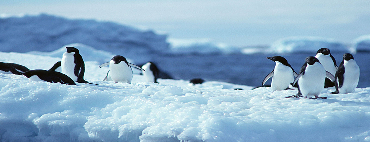 极致南极16天科考探索 · 飞越德雷克，拥抱世界尽头